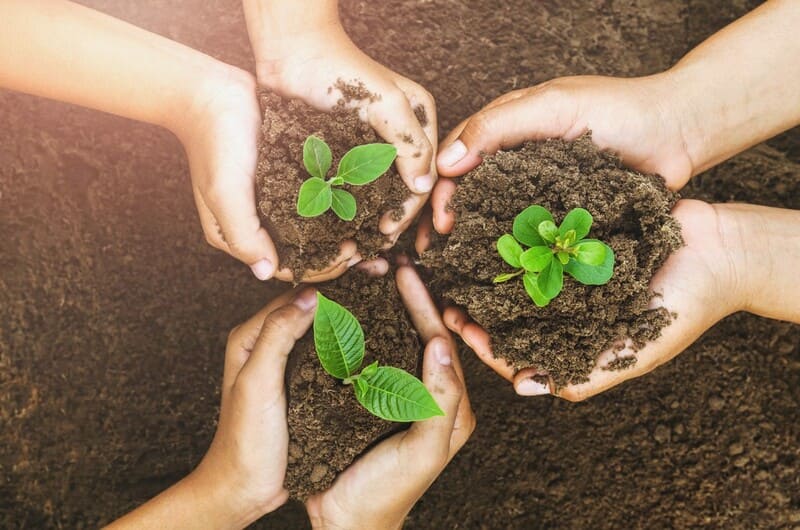demarche eco oleans